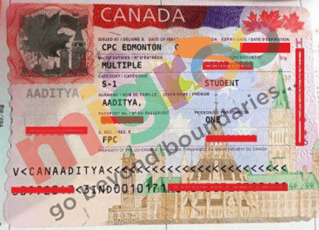 Untitled design (20)-min